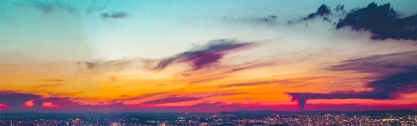 明港茶虫网_明港品茶